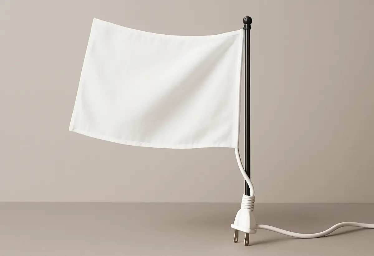 Uma bandeira branca com fundo simples e branco. A bandeira tem um fio para conectar a uma tomada, uma paródia a conta de luz em 2025, por conta das novas bandeiras tributárias.